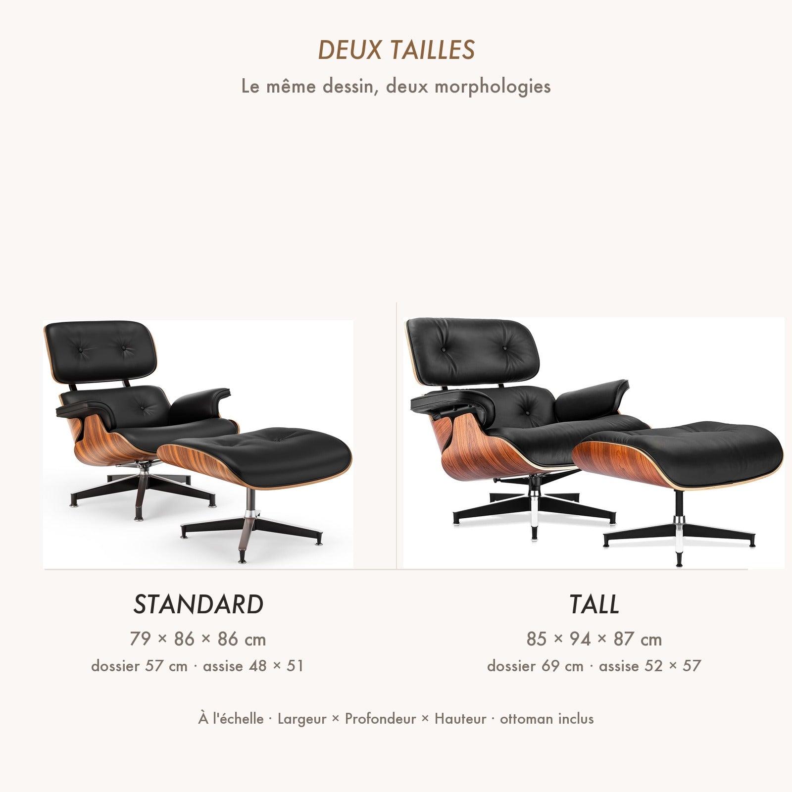Comparaison des tailles Standard et Tall à l'échelle