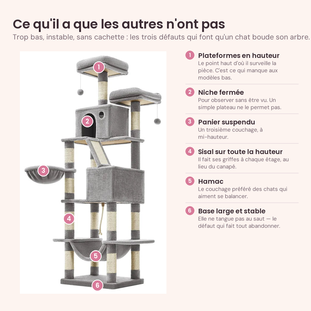 Les six atouts de l'arbre à chat : plateformes en hauteur, niche fermée, panier suspendu, sisal sur toute la hauteur, hamac et base large