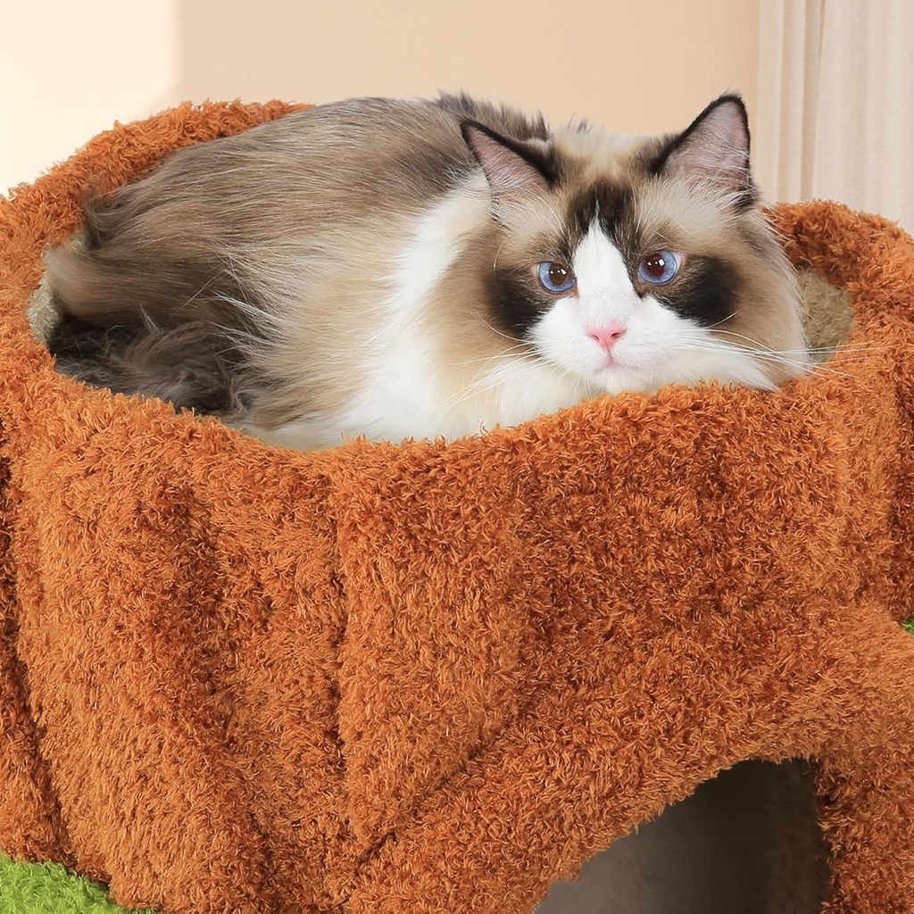 Chat installé dans un nid